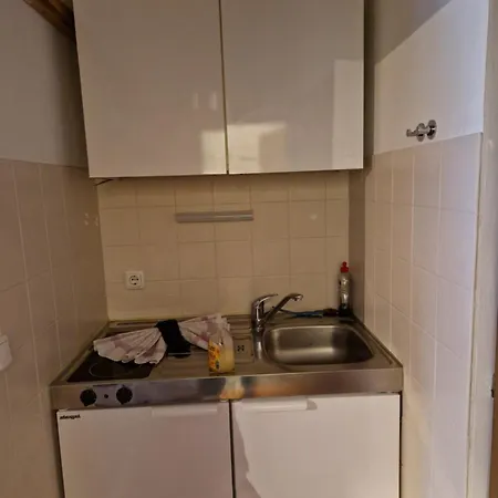 Aparthotel Ferien- Und Reiterhof Ochsenkopf