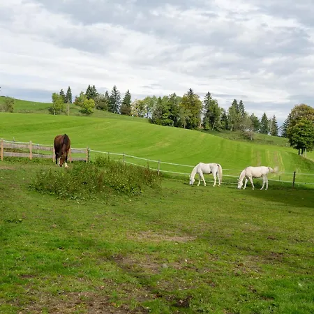 Lejlighedshotel Ferien- Und Reiterhof Ochsenkopf Missen-Wilhams