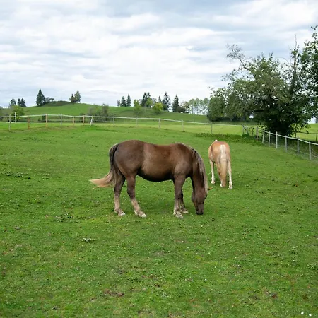 Ferien- Und Reiterhof Ochsenkopf Missen-Wilhams