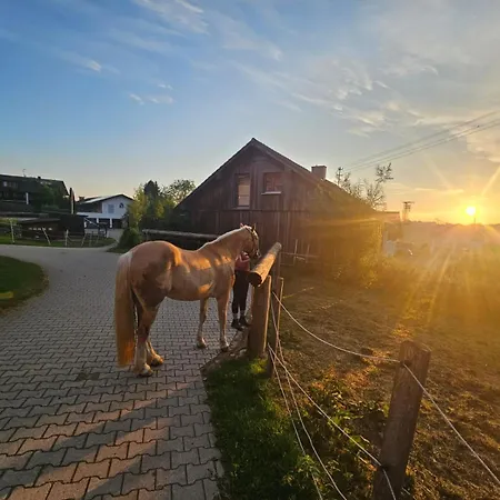 Ferien- Und Reiterhof Ochsenkopf Aparthotel *